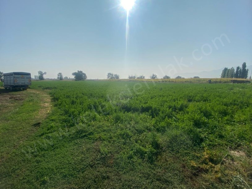 BOLTAŞIN ARKASINDA ÇİFTLİK