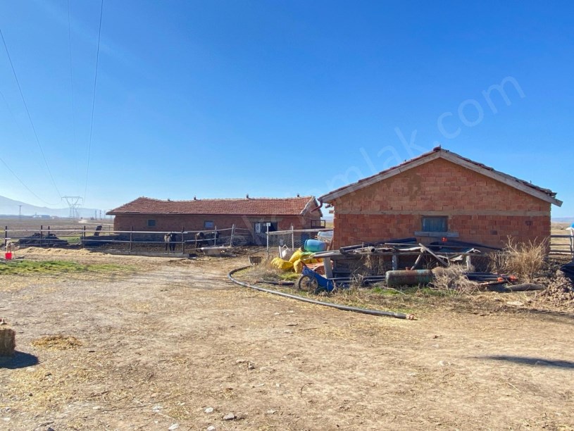 ÇAYIRLARDA(MALAZGİRT MAHALLESİ)BESİ ÇİFTLİĞİ