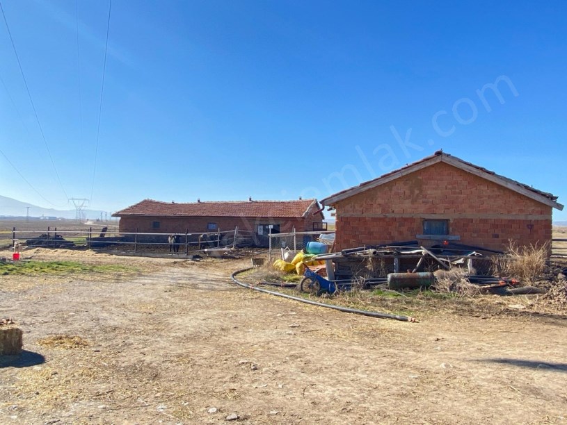 ÇAYIRLARDA(MALAZGİRT MAHALLESİ)BESİ ÇİFTLİĞİ