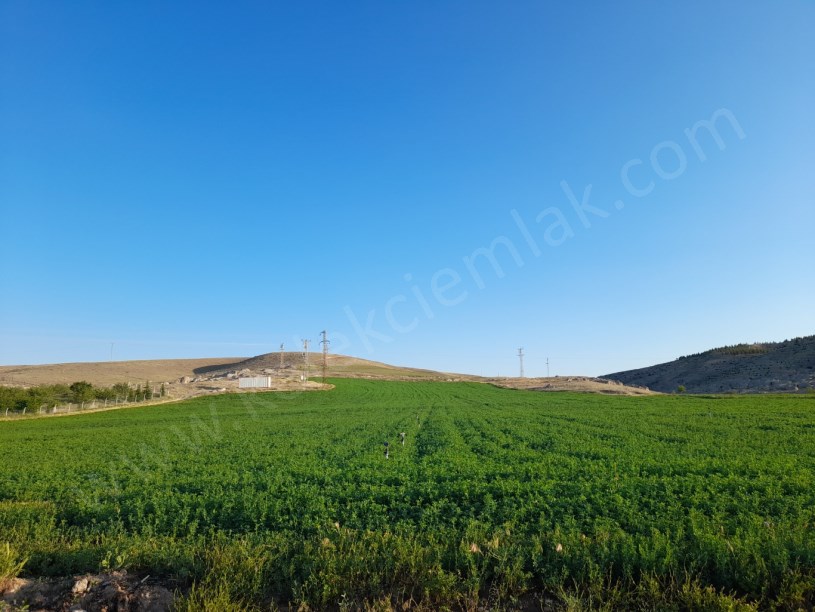 KALE(BOYVADALIK)MAHALLESİNDE IPARDA UYGUN TARLA