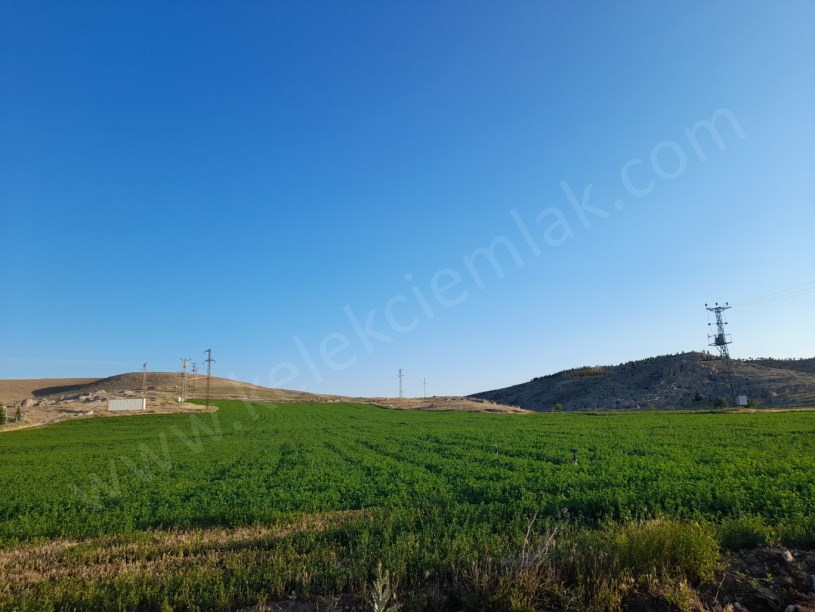 KALE(BOYVADALIK)MAHALLESİNDE IPARDA UYGUN TARLA