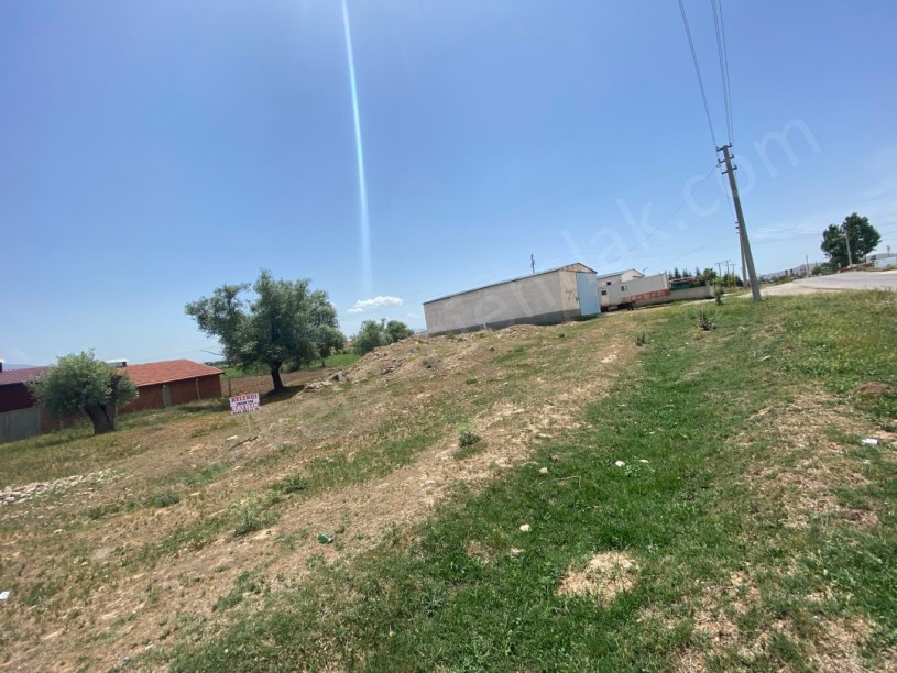ALKOLOİD YOLUNDA TİCARİ ARSA