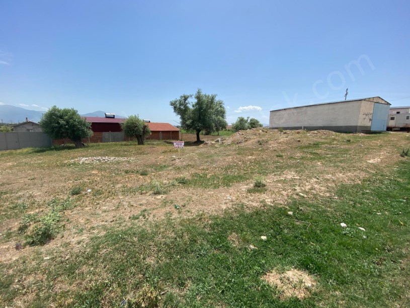 ALKOLOİD YOLUNDA TİCARİ ARSA