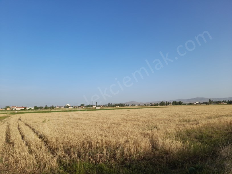 KIRKGÖZ MAHALLESİNDE ARITMANIN KARŞISINDA TARLA