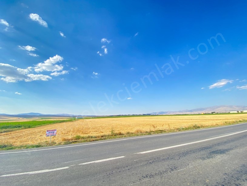 ÇOBANLAR YOLUNA CEPHELİ TARLA
