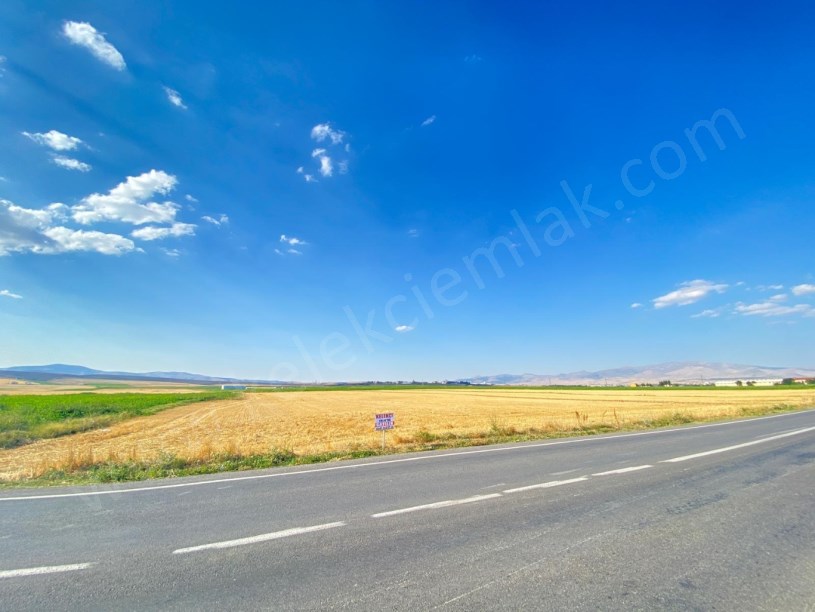 ÇOBANLAR YOLUNA CEPHELİ TARLA
