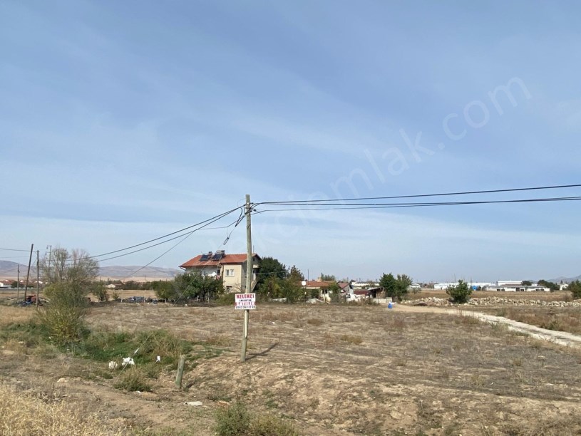 ALKOLOİD YOLUNA CEPHELİ TARLA