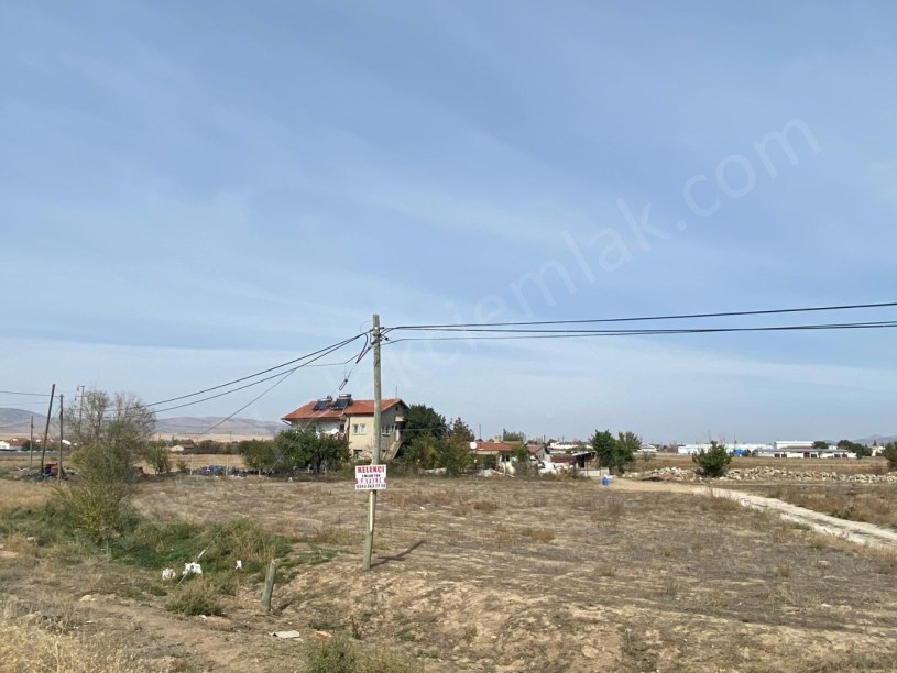 ALKOLOİD YOLUNA CEPHELİ TARLA