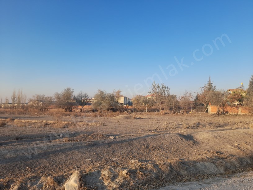 TOKİ ARKASINDA  YOLA CEPHELİ TARLA 