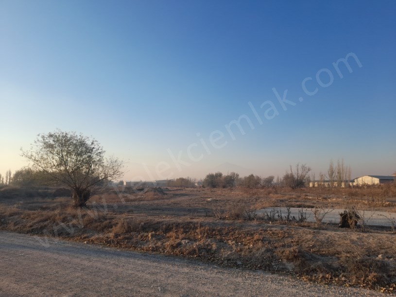 TOKİ ARKASINDA  YOLA CEPHELİ TARLA 