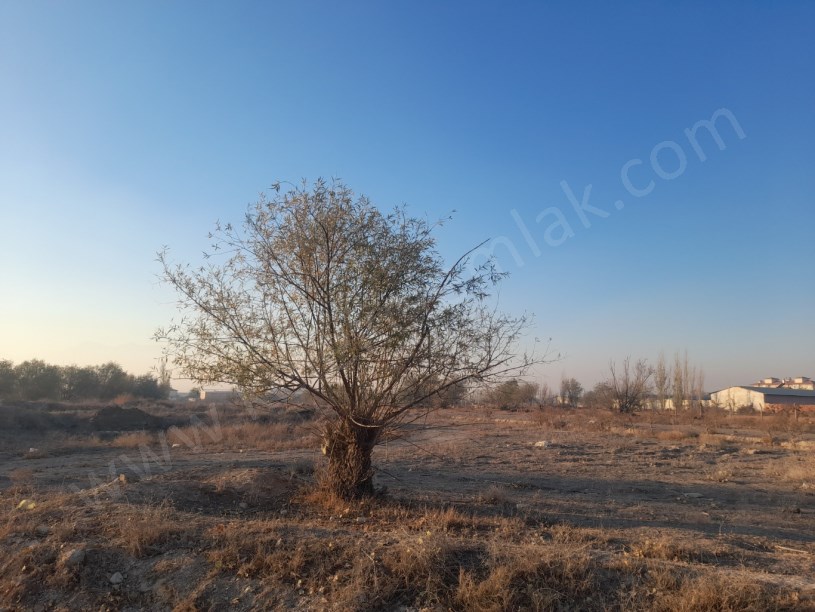 TOKİ ARKASINDA  YOLA CEPHELİ TARLA 
