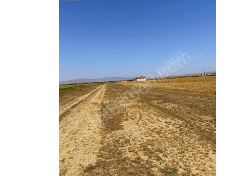 KALE MAHALLESİNDE  BESİHANE YAPMAYA UYGUN TARLA