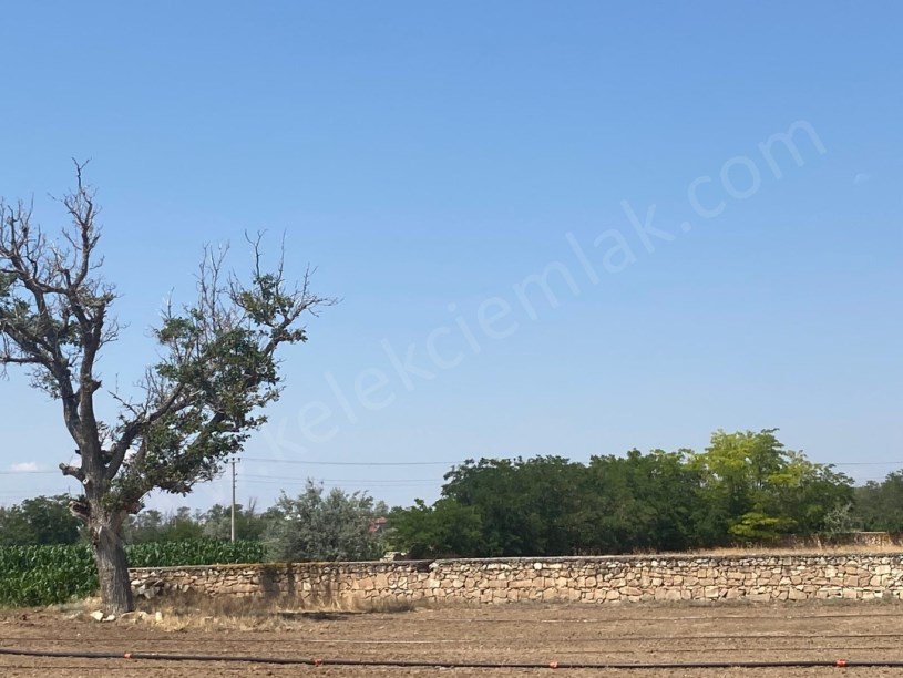ŞEHİR KABRİSTANI KARŞISINDA İMARLI TARLA