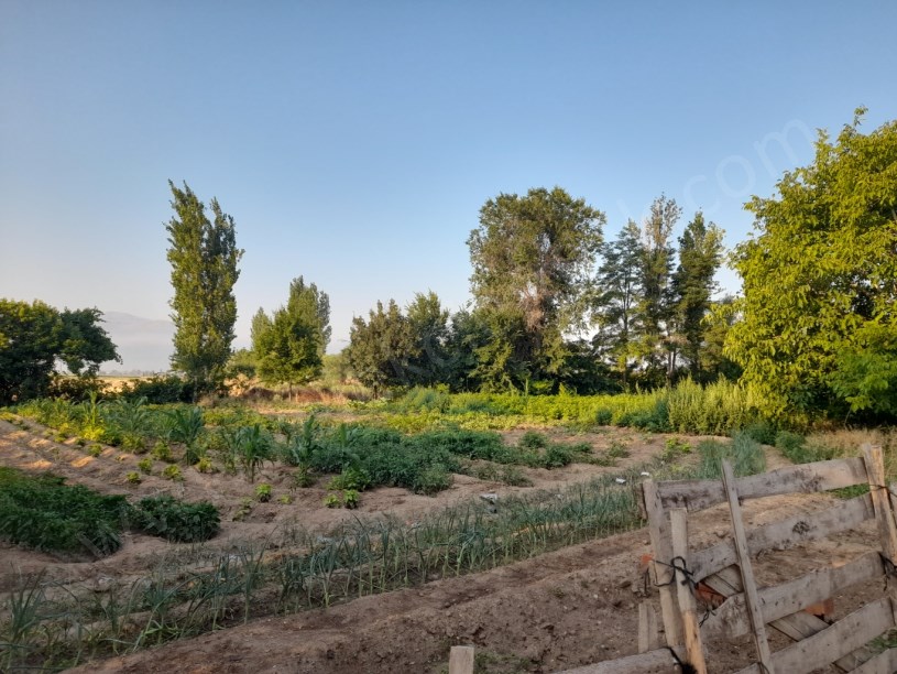 KIRKGÖZ MAHALLESİNDE BOLTAŞIN ARKASINDA TARLA