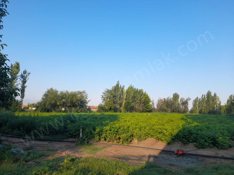 KIRKGÖZ MAHALLESİNDE BOLTAŞIN ARKASINDA TARLA