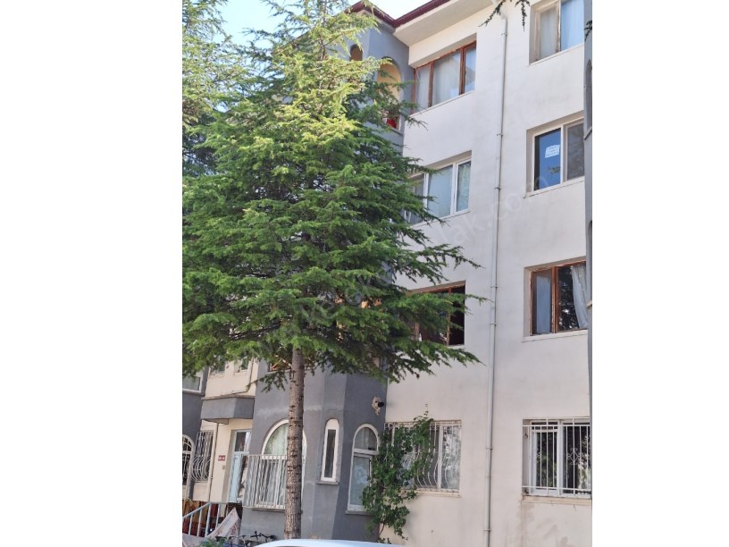 1. BOLOVADA SATILIK DAİRE
