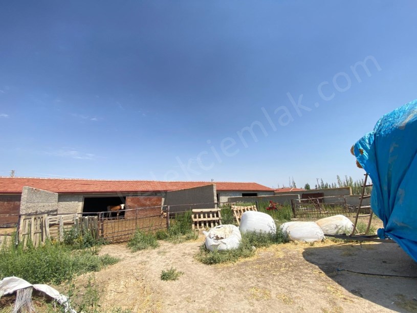 YAKUP ŞEVKİPAŞA MAHALLESİNDE ÇİFTLİK