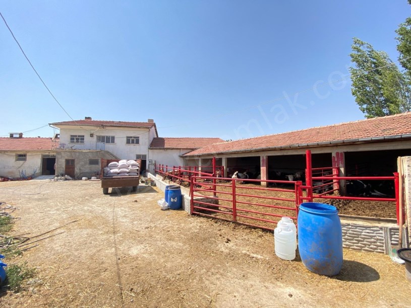 YAKUP ŞEVKİPAŞA MAHALLESİNDE ÇİFTLİK