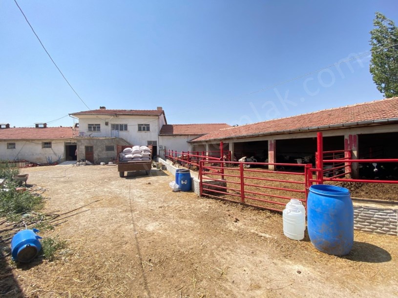 YAKUP ŞEVKİPAŞA MAHALLESİNDE ÇİFTLİK