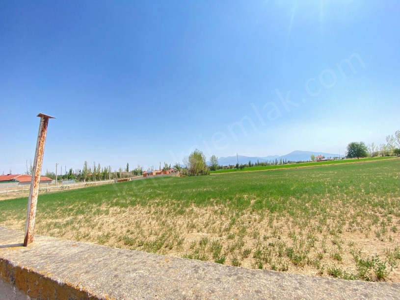 YAKUP ŞEVKİPAŞA MAHALLESİNDE ÇİFTLİK