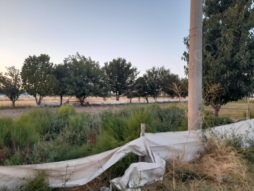 KIRKGÖZ MAHALLESİNDE GÜNEY CEPHELİ ARSA