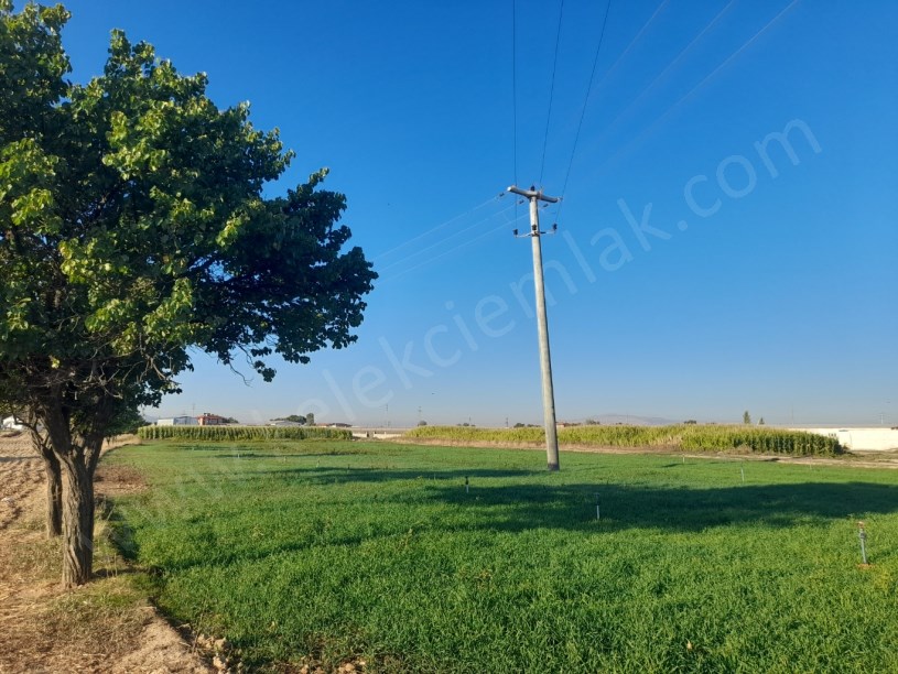 SELÇUKLUDA TİCARİ ARSA