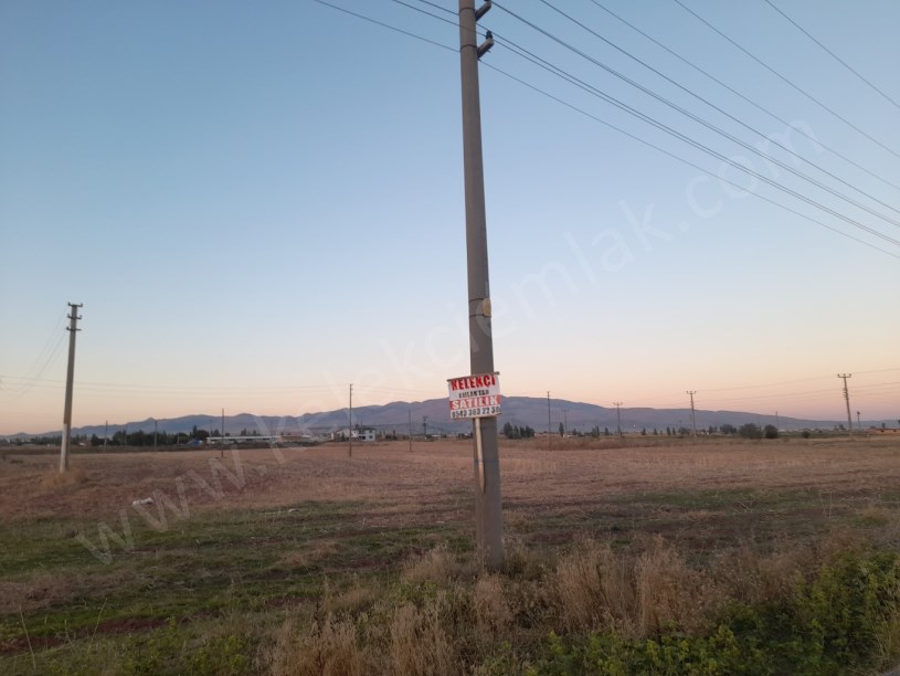 ÇOBANLAR YOLUNA CEPHELİ TARLA