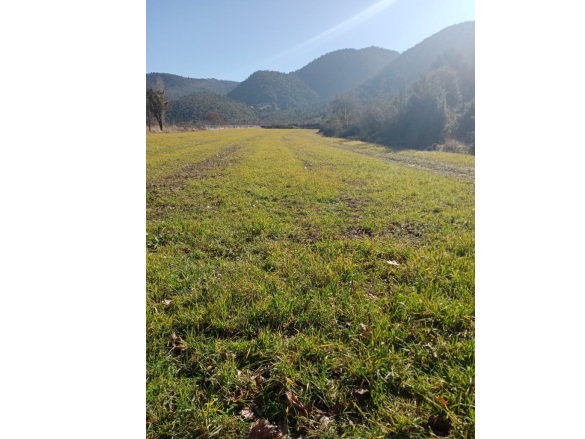 Hisarardı Gölhisar Satılık Tarla |  9160M2 1.850.000Tl Resim-1