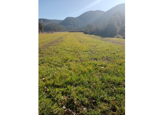 Hisarardı Gölhisar Satılık Tarla |  9160M2 1.850.000Tl Resim-3