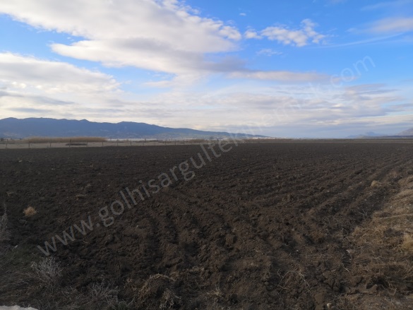 Kargalı Gölhisar Satılık Tarla |  7296M2 3.465.000Tl İmarlı  Resim-2