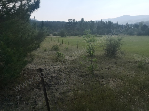 Evciler Gölhisar Satılık Tarla |  6050M2 1.490.000Tl İmarlı  Resim-3
