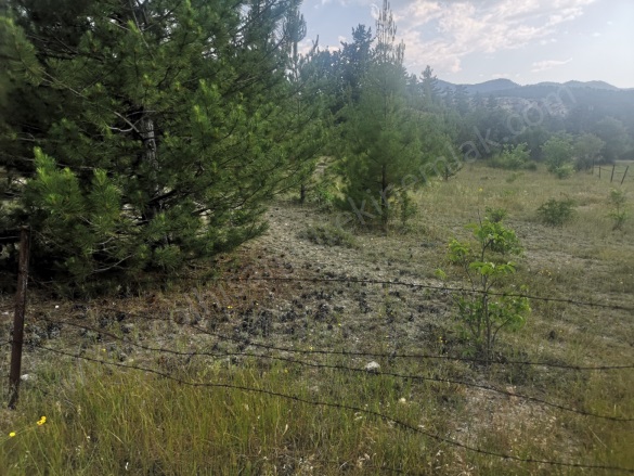 Evciler Gölhisar Satılık Tarla |  6050M2 1.490.000Tl İmarlı  Resim-4