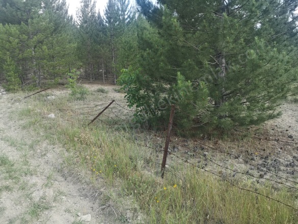 Evciler Gölhisar Satılık Tarla |  6050M2 1.490.000Tl İmarlı  Resim-5