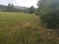 Gölhisar Evciler Satılık Tarla 6050 M2