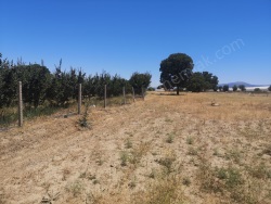 Gölhisar Yusufça Satılık Bahçe 5368 M2