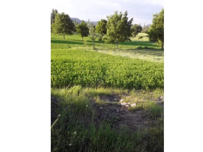 Satılık Tarla Arsa Niteliğinde Gölhisar Elmalıyurt