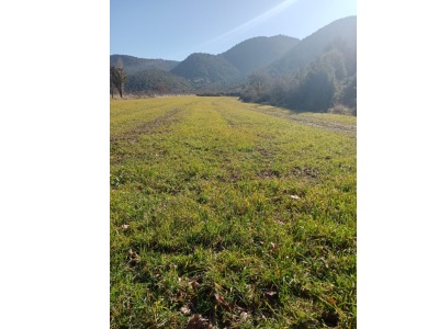 Satılık Tarla Burdur Gölhisar Hisarardı