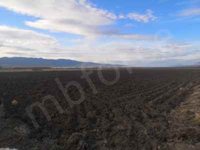 Field For Sale in  Turkey, Burdur, Golhisar, Kargali , 7296 m2