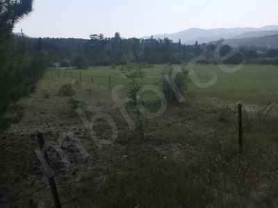 Field For Sale in  Turkey, Burdur, Golhisar, Evciler , 6050 m2