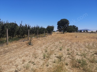 Satılık Bahçe Ayva Si Burdur Gölhisar Yusufça