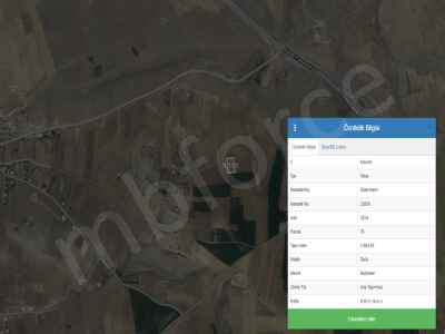 Field For Sale in  Turkey, Kayseri, Talas, Mengucek , 2965 m2