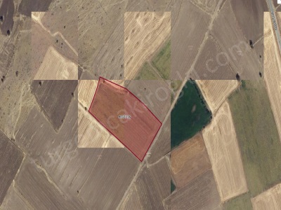 Erkilet Tepede Tek Tapu 14 Dönüm Satılık Tarla Kocasinan