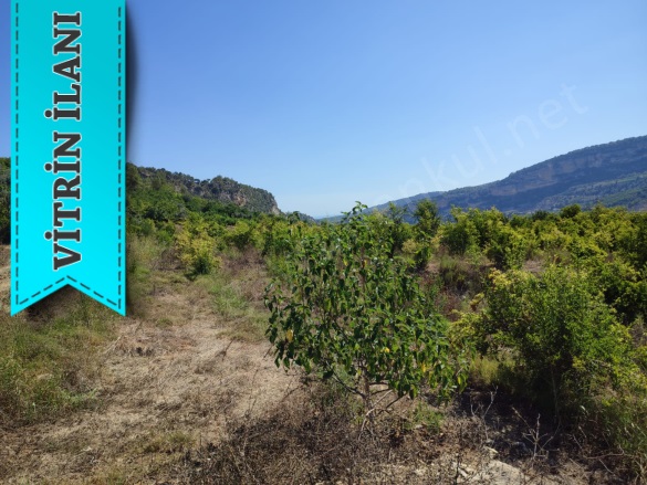 Karahacılı Yenişehir Satılık Tarla |  5780M2 7.850.000Tl Resim-1