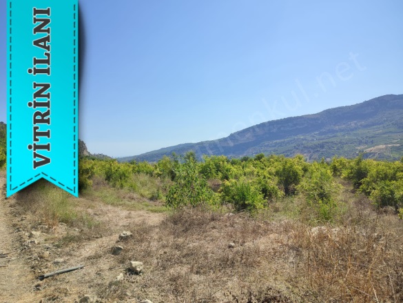 Karahacılı Yenişehir Satılık Tarla |  5780M2 7.850.000Tl Resim-2