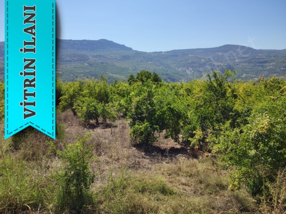 Karahacılı Yenişehir Satılık Tarla |  5780M2 7.850.000Tl Resim-3