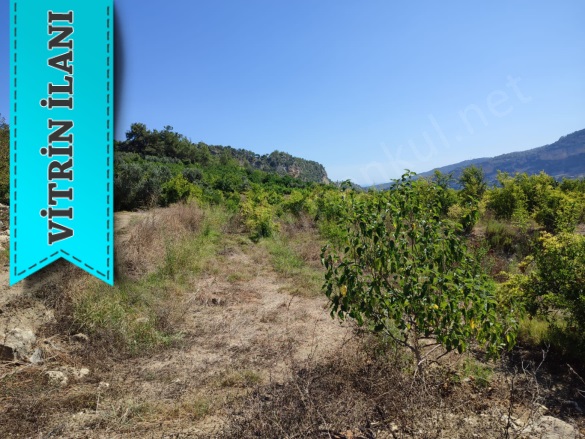 Karahacılı Yenişehir Satılık Tarla |  5780M2 7.850.000Tl Resim-4