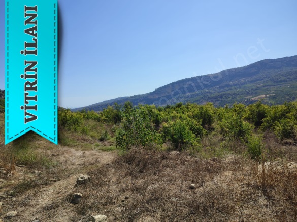 Karahacılı Yenişehir Satılık Tarla |  5780M2 7.850.000Tl Resim-5