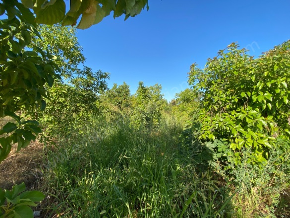 Gaziler Mah. Kepez Satılık Arsa |  550M2 5.500.000Tl İmarlı  Resim-3