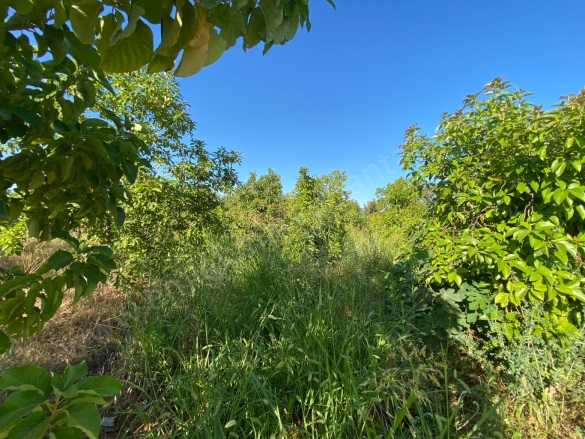 Gaziler Mah. Kepez Satılık Arsa |  550M2 5.500.000Tl İmarlı  Resim-4