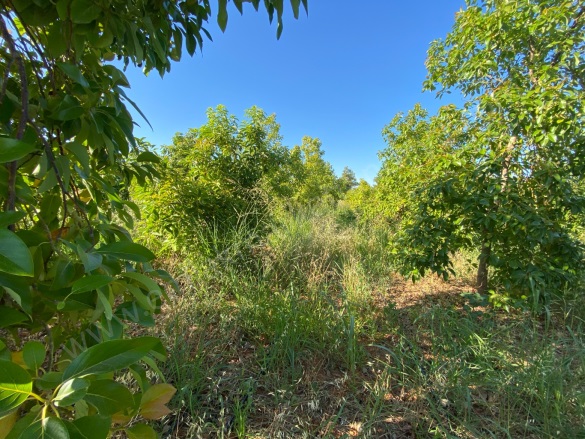 Gaziler Mah. Kepez Satılık Arsa |  550M2 5.500.000Tl İmarlı  Resim-5